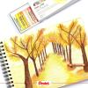 Pentel Arts Oil Pastels, Assorted colours, 1 pack of 25 sticks(25 Count (Pack of 1))