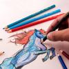 Pentel Arts Watercolor Pencil Set, 12 Color Set (CB9-12)(Color Pencil)