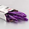 Pentel RSVP Mini Ballpoint Pen, (1.0mm) Medium Line, Orange Ink, 12 pack (BK91MNF-F)(Violet Ink)