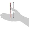 Pentel Needle Tip Gel Ballpoint Pen, Slicci, 0.25mm, Red (BG202B)